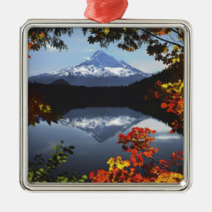 USA, Oregon, Mt. Hood National Forest. Metal Ornament
