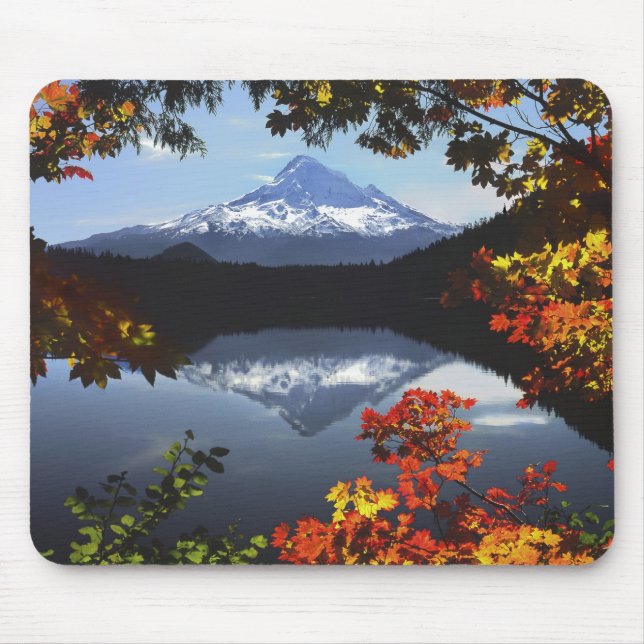 USA, Oregon, Mt. Hood National Forest. Mouse Pad (Front)