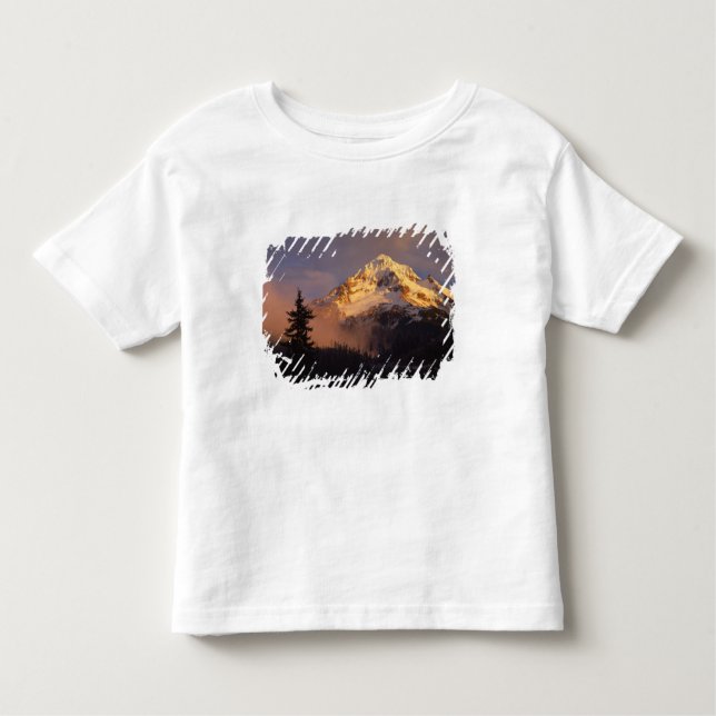 USA, Oregon, Mt. Hood National Forest. Rolling Toddler T-Shirt (Front)