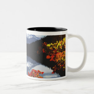 USA, Oregon, Mt. Hood National Forest. Two-Tone Coffee Mug