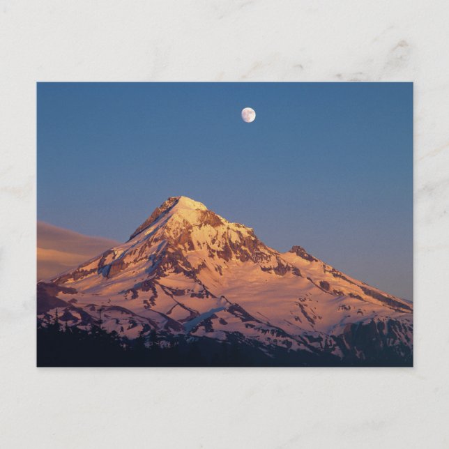 USA, Oregon, Mt Hood. Sunset creates alpenglow Postcard (Front)