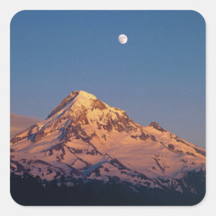 USA, Oregon, Mt Hood. Sunset creates alpenglow Square Sticker