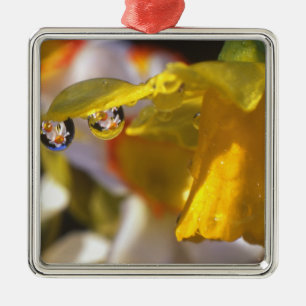 USA, Oregon, Multnomah County, Close-up of Metal Tree Decoration