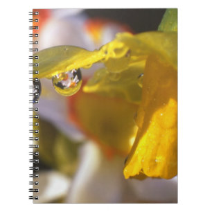 USA, Oregon, Multnomah County, Close-up of Notebook