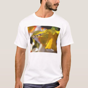 USA, Oregon, Multnomah County, Close-up of T-Shirt