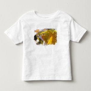 USA, Oregon, Multnomah County, Close-up of Toddler T-Shirt