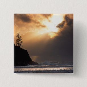USA, Oregon, near Oswald West State Park, Late 15 Cm Square Badge