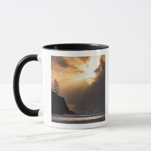USA, Oregon, near Oswald West State Park, Late Mug