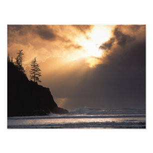 USA, Oregon, near Oswald West State Park, Late Photo Print