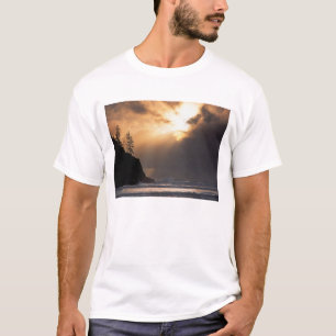 USA, Oregon, near Oswald West State Park, Late T-Shirt