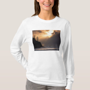 USA, Oregon, near Oswald West State Park, Late T-Shirt