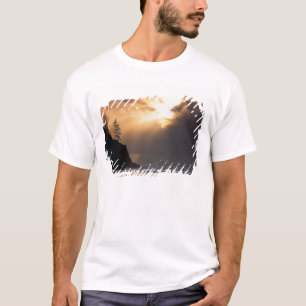 USA, Oregon, near Oswald West State Park, Late T-Shirt
