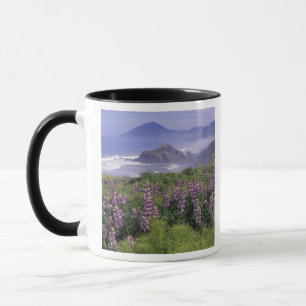 USA, Oregon, Nesika Beach. Lupine and Oregon Mug