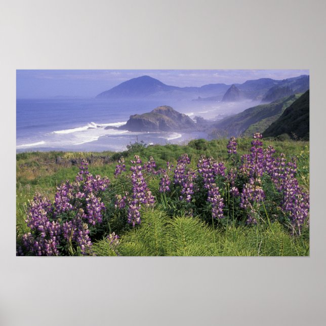 USA, Oregon, Nesika Beach. Lupine and Oregon Poster (Front)