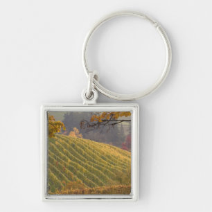 USA, Oregon, Newberg. Vineyard in the fall. Key Ring