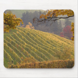 USA, Oregon, Newberg. Vineyard in the fall. Mouse Pad