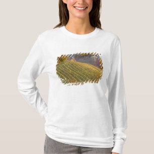 USA, Oregon, Newberg. Vineyard in the fall. T-Shirt