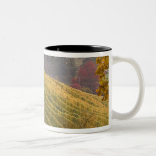 USA, Oregon, Newberg. Vineyard in the fall. Two-Tone Coffee Mug