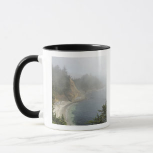 USA, Oregon, Ocean View, Cape Arago, Bandon Mug