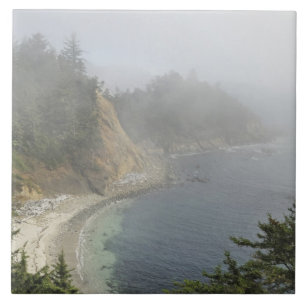 USA, Oregon, Ocean View, Cape Arago, Bandon Tile