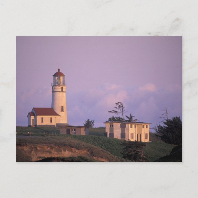 USA, Oregon, Port Orford Region, Cape Blanco Postcard (Front)