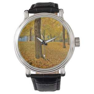 USA, Oregon, Portland. American Linden Trees Watch