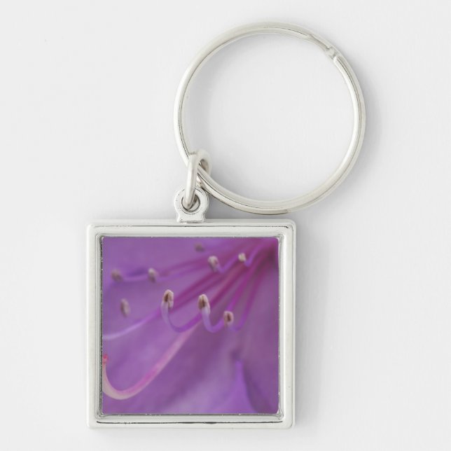 USA, Oregon, Portland. Close-up of a Key Ring (Front)