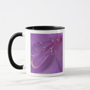 USA, Oregon, Portland. Close-up of a Mug