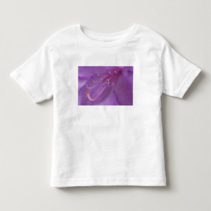 USA, Oregon, Portland. Close-up of a Toddler T-Shirt