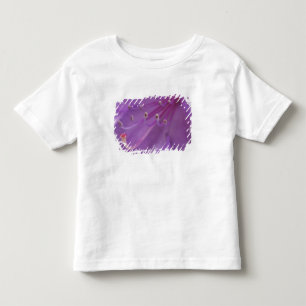 USA, Oregon, Portland. Close-up of a Toddler T-Shirt