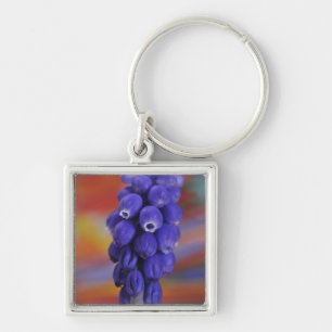 USA, Oregon, Portland. Close-up of blue grape Key Ring