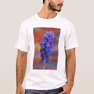 USA, Oregon, Portland. Close-up of blue grape T-Shirt