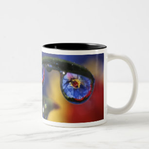 USA, Oregon, Portland, Close-up of ladybird Two-Tone Coffee Mug