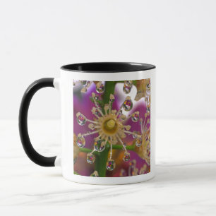 USA, Oregon, Portland. Cosmos flowers reflect in Mug