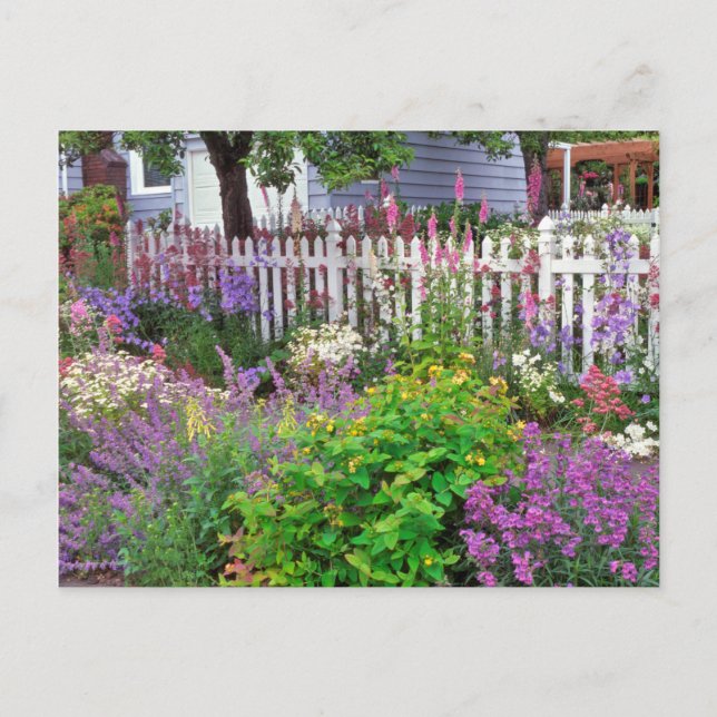 USA, Oregon, Portland. Explosion Of Springtime Postcard (Front)