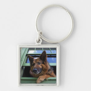 USA, Oregon, Portland. Griff the long-hair Key Ring