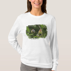 USA, Oregon, Portland. Male cedar waxwing T-Shirt