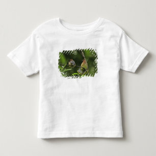 USA, Oregon, Portland. Male cedar waxwing Toddler T-Shirt