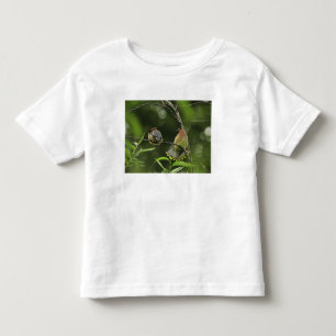 USA, Oregon, Portland. Male cedar waxwing Toddler T-Shirt