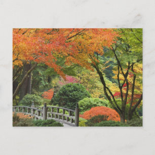 USA, Oregon, Portland. Wooden bridge and maple Postcard