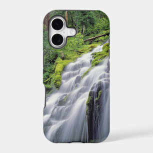 USA, Oregon, Proxy Falls. Proxy Falls rushes
