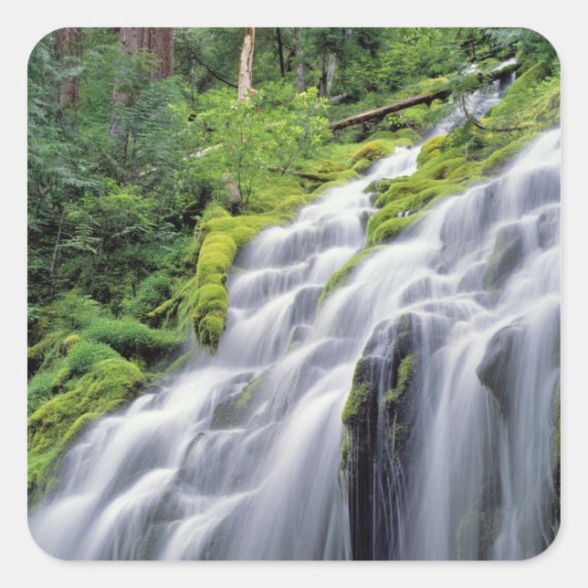 USA, Oregon, Proxy Falls. Proxy Falls rushes Square Sticker (Front)
