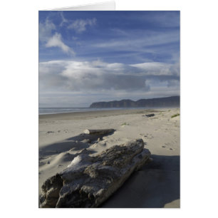 USA, Oregon, Sand Dunes and Ocean, Pacific City