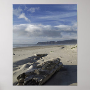 USA, Oregon, Sand Dunes and Ocean, Pacific City 2 Poster