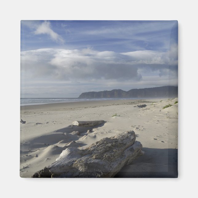 USA, Oregon, Sand Dunes and Ocean, Pacific City Magnet (Front)
