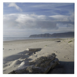 USA, Oregon, Sand Dunes and Ocean, Pacific City Tile