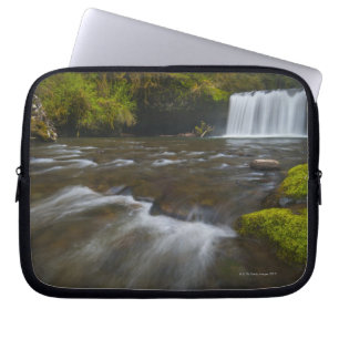 USA, Oregon, Scenic view of Upper Butte Creek Laptop Sleeve