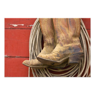 USA, Oregon, Seneca, Ponderosa Ranch. Close-up Photo Print