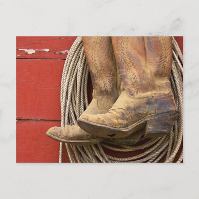 USA, Oregon, Seneca, Ponderosa Ranch. Close-up Postcard (Front)