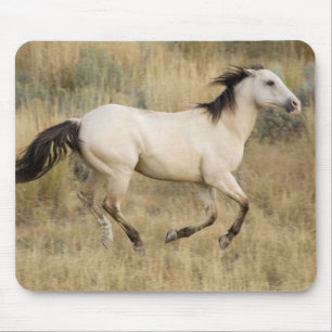 USA, Oregon, Seneca, Ponderosa Ranch. Horse Mouse Pad